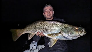 Catching Jewfish on the Hawkesbury River  Insane Action [upl. by Namielus]