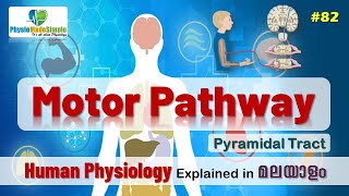 Ep82  Pyramidal Tract  Malayalam [upl. by Doyle]