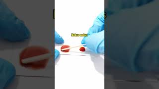 Blood typing laboratory medtechstudent cls mls bloodbank bloodgroup bloodtype bloodgrouping [upl. by Sharleen410]