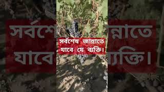 islamicstatus new video Sorboses je bekti jannate jabe।সর্বশেষ যে জান্নাতে যাবেন। waz [upl. by Odnuges]