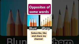 Opposite words in English language sallas english trending learning [upl. by Okika]