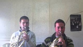 Beethoven 7 Orchestral Excerpt French Horn Javier Molina Parra y Miguel Morles Llopis [upl. by Guibert]