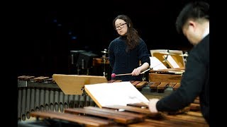 Touch Percussion Quartet  Prelude and Dragonfly Dance  IPCL 2015 Preliminary Round [upl. by Kucik]