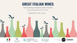 Great Italian Wines Understanding Indigenous Grape Varieties Nerello Mascalese and Carricante [upl. by Graubert]