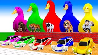 5 Giant Duck CartoonCowZebraElephantTigerLion Paint Wild Animals Crossing Animation 7n [upl. by Laenej]