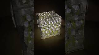 DIY lampu tidur aesthetic tulip [upl. by Ahsinac]