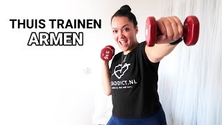 Thuis Trainen  Armen  Biceps amp Triceps [upl. by Rede368]