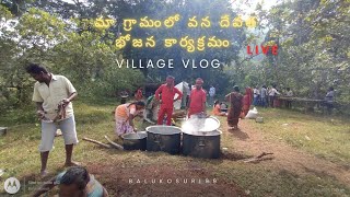 మా గ్రామంలో వన దేవత కార్యక్రమం Village vlog BaluKosuri99 [upl. by Enidaj821]