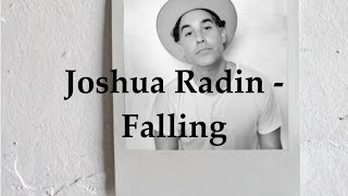 Joshua Radin  Falling Lyric Video [upl. by Oconnor158]