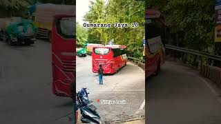 Bus Sumbar Gumarang Jaya Melewati Sitinjau Lauik [upl. by Wilsey663]