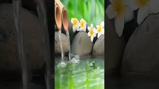 Música Para Calmar La Mente Y Dejar De Pensar soothingrelaxeveryday bamboowatersounds shorts [upl. by Allicserp516]