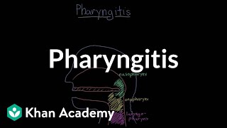 Pharyngitis  Respiratory system diseases  NCLEXRN  Khan Academy [upl. by Nahsad662]