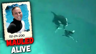 HORRIFYING Footage of Killer Whale Fatally Mauling Trainer Dawn Brancheau [upl. by Aihsenal]