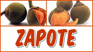 ¿CONOCES EL ZAPOTE Y SUS BENEFICIOS PARA LA SALUD [upl. by Haily]