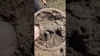 Sounded to good 😆 metaldetecting treasurehunt shortsviral [upl. by Akiehsat25]