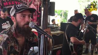 ▲Moggies  Live at the Psychobilly Meeting 2017 [upl. by Osswald]