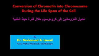 Conversion of Chromatin into Chromosomes [upl. by Icak]