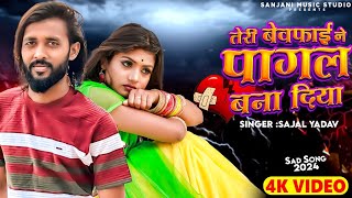 SINGER SAJAL YADAV तेरी बेवफाई ने पागल बना दिया 2024 का सब सॉन्ग [upl. by Phillipp671]