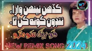 Kadinh Neinhh Wara  Fozia Soomro Queen Of Sindhi Songs [upl. by Rhine817]