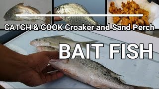 Catch and Cook Croaker [upl. by Alletse]