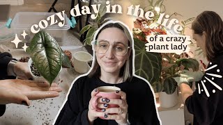 cozy plant vlog 🪴 repotting dusting propagating amp more [upl. by Vander]