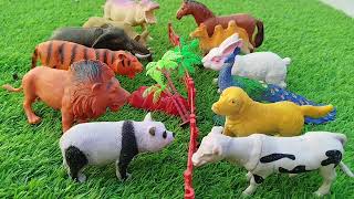 100 Animals of the World  farm animals vs wild zoo animals for kids Zebra Wolf Zoo Animals [upl. by Beitris]