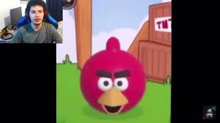 Talking red angry bird meme [upl. by Nraa]