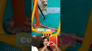 So cute dog😘❤️🐕 trendingvideo status [upl. by Bryon]