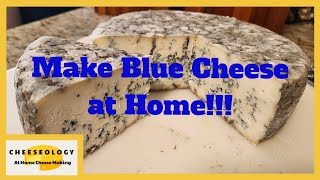 Make Blue Cheese at Home [upl. by Barkley]