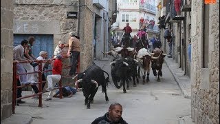 Encierro de Valrubio en Aldeadávila de la Ribera [upl. by Ahseit66]