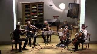 Luigi Boccherini Quintetto per archi in mi maggiore Op11 No5 G275 [upl. by Treblig]