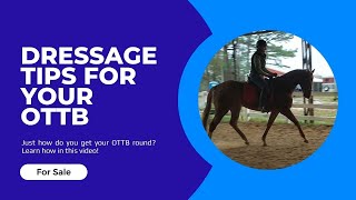 Dressage Tips for Retraining an OTTB [upl. by Babbette]