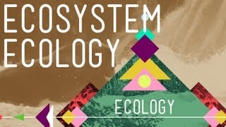 Ecosystem Ecology Links in the Chain  Crash Course Ecology 7 [upl. by Peggi]