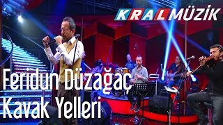 Feridun Düzağaç  Kavak Yelleri Kral POP Akustik [upl. by Tadich]