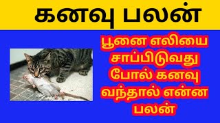 பூனை எலியை சாப்பிடுவது போல் கனவு வந்தால் என்ன பலன் Poonai eliyai sappiduvathu pol kanavu vanthaal [upl. by Ysied]