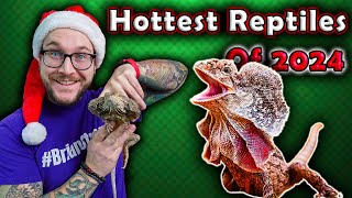 Top 5 Newly Popular Reptiles That Will BLOW UP in 2024 [upl. by Ileak345]