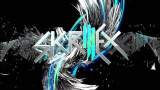 Skrillex Levels Remix Studio Quality HD [upl. by Jestude]