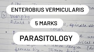 ENTEROBIUS VERMICULARIS  LIFE CYCLE  Pathogenesis  5 marks micro [upl. by Mieka586]