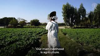 A new irrigation canal in Batikot Nangarhar [upl. by Earahs]