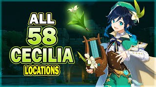 All 58 Cecilia Locations  Efficient Farming Route  Venti Ascension Material  Genshin Impact [upl. by Kannav]