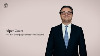 Our fixed income investment culture by Alper Gocer [upl. by Annocahs]