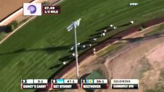 2010 TVG Breeders Cup Mile [upl. by Euv]