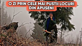 MA PRINS CEAȚA ȘI PLOAIA ÎN MIJLOCUL SĂLBATICIEI  O ZI PRIN MUNȚII APUSENI [upl. by Olympe115]