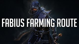 Fabius Farming Route Grim Dawn [upl. by Naenaj]