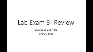 Biology 1406 Module 3 Lab Exam Review Dr Guerrero [upl. by Eisned]