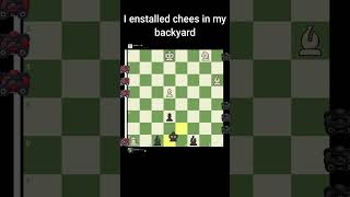 Lawn Mower Chess 2  Can Mittens defeat Stockfish [upl. by Hach124]