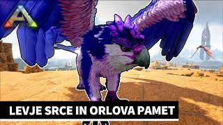 Levje srce in orlova pamet E13  ARK SLO [upl. by Ybab15]