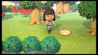 Animal Crossing New Horizon REPLAY [upl. by Lletnuahs]