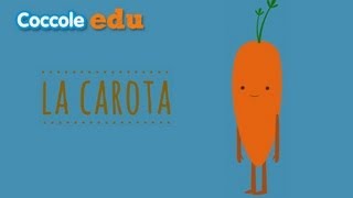 La Carota di Coccole Sonore Edu [upl. by Reinar]