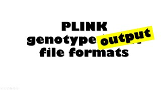 PLINK genotype OUTPUT files A complete list [upl. by Yllrebmik]